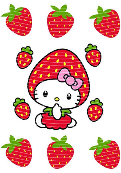 A5 Notebook Wraps-W-1653